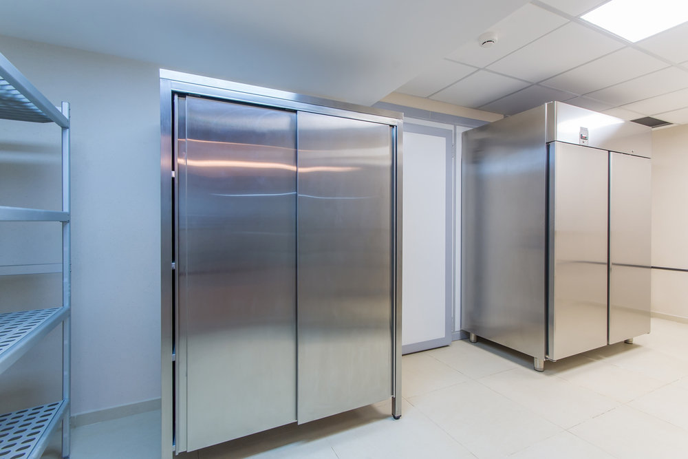 Fridge,and,shelves,in,a,professional,kitchen